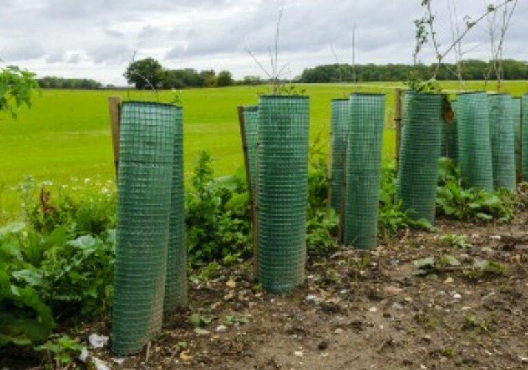 Exploitants agricoles : hausse du montant de plusieurs aides Pac au titre de 2025