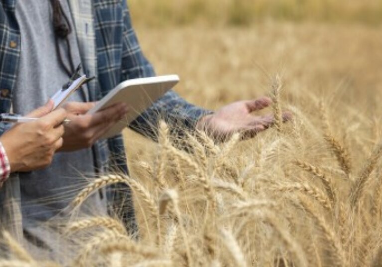 Non-salariés agricoles : des cotisations dues pour une année entière
